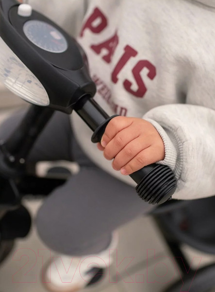 Изображение товара Трехколесный велосипед с ручкой Amarobaby Legend / AB22-36LG/09 (черный)