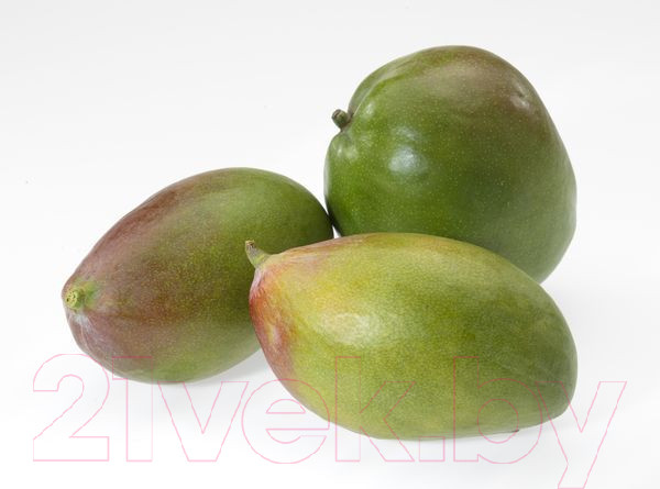 Изображение товара Нож Gefu Пати 13580