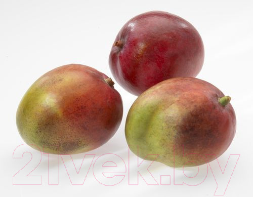 Изображение товара Нож Gefu Пати 13580