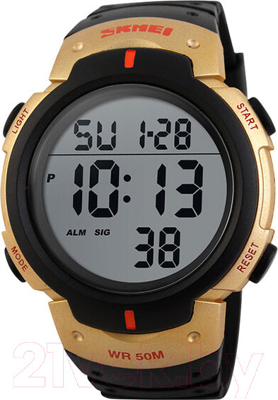 Изображение товара Часы наручные мужские Skmei DG1068 (черный/золотистый)