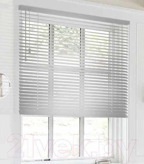 Изображение товара Жалюзи горизонтальные Эскар 100x160 / 5018100160 (серебристый)