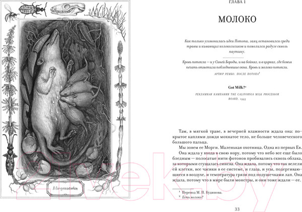 Изображение товара Книга КоЛибри Ева. История эволюции женского тела / 9785389235786 (Бохэннон К.)