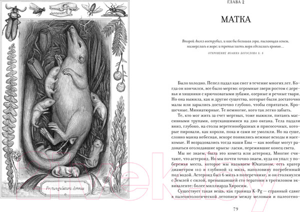 Изображение товара Книга КоЛибри Ева. История эволюции женского тела / 9785389235786 (Бохэннон К.)