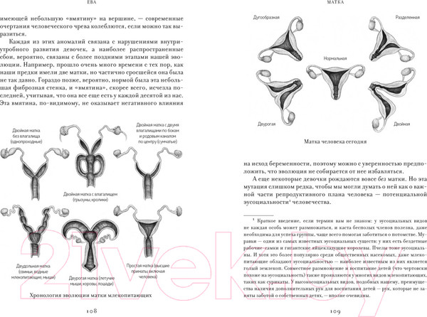 Изображение товара Книга КоЛибри Ева. История эволюции женского тела / 9785389235786 (Бохэннон К.)