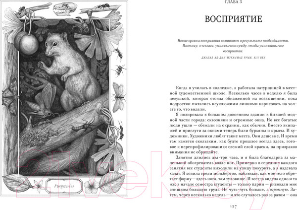 Изображение товара Книга КоЛибри Ева. История эволюции женского тела / 9785389235786 (Бохэннон К.)