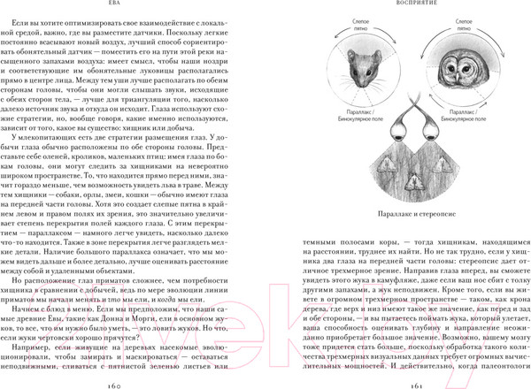 Изображение товара Книга КоЛибри Ева. История эволюции женского тела / 9785389235786 (Бохэннон К.)