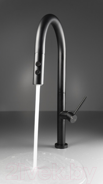 Изображение товара Смеситель Deante Olfato BQO N72M (черный)