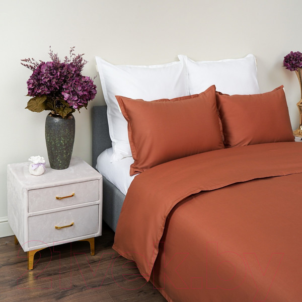 Изображение товара Комплект постельного белья Sofi de Marko Селина 2х / 2х-С-Сл-тер (терракот)