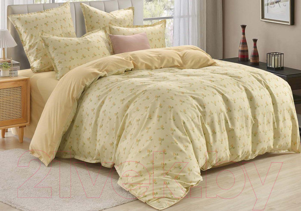 Изображение товара Комплект постельного белья Sofi de Marko Бони 2х / 2х-5635 (бежевый)