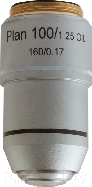 Изображение товара Объектив для микроскопа Levenhuk MED 100x / 76073