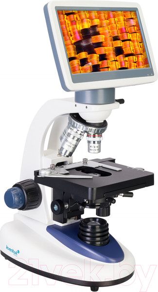 Изображение товара Микроскоп цифровой Levenhuk D95L LCD / 78903