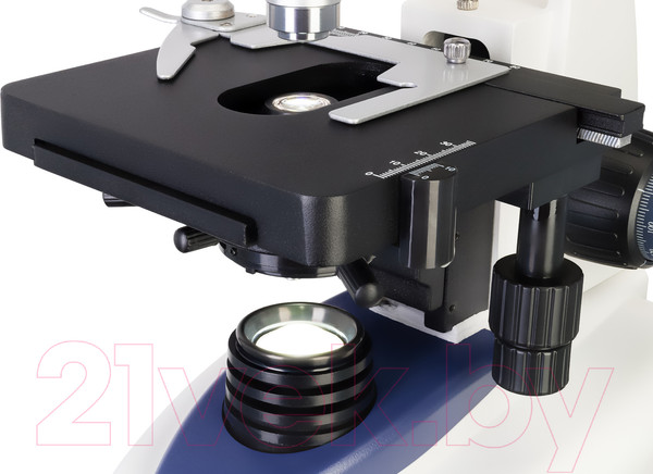 Изображение товара Микроскоп цифровой Levenhuk D95L LCD / 78903