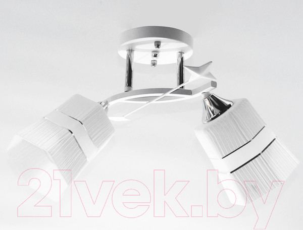 Изображение товара Потолочный светильник Aitin-Pro НПБ 02-2x60-101 / 6052/2 (белый/хром)