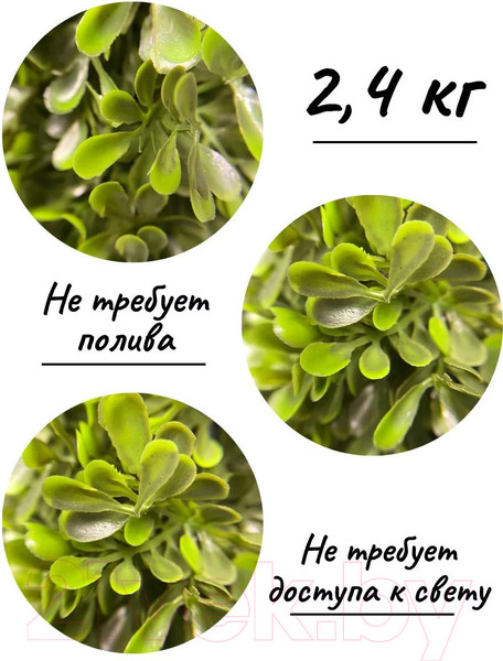 Изображение товара Искусственное растение Merry Bear Home Decor Самшит Трапецевидный / KA0039