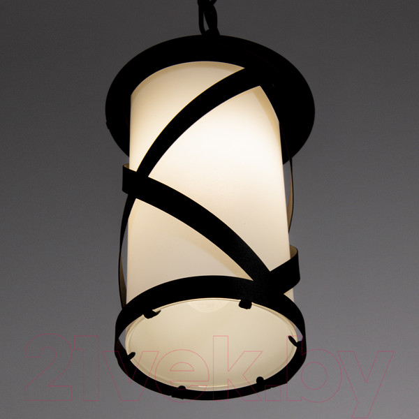 Изображение товара Светильник уличный Элетех Огниво НПУ 02-100-002 / 1030480564 (черный)