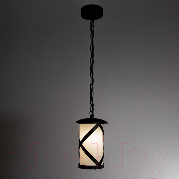 Изображение товара Светильник уличный Элетех Огниво НПУ 02-100-002 / 1030480564 (черный)