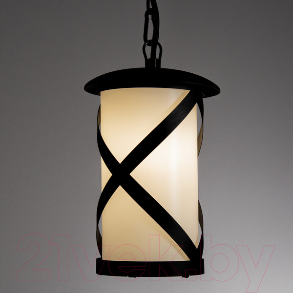 Изображение товара Светильник уличный Элетех Огниво НПУ 02-100-002 / 1030480564 (черный)