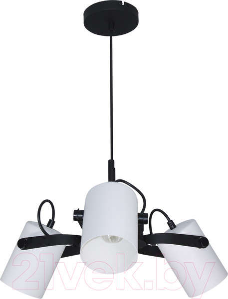 Изображение товара Люстра Элетех Гамма 231 НСБ 01-3x60-178 Е27 / 1005405348 (черный/белый муар)