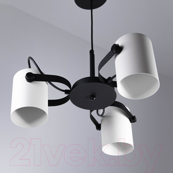 Изображение товара Люстра Элетех Гамма 231 НСБ 01-3x60-178 Е27 / 1005405348 (черный/белый муар)