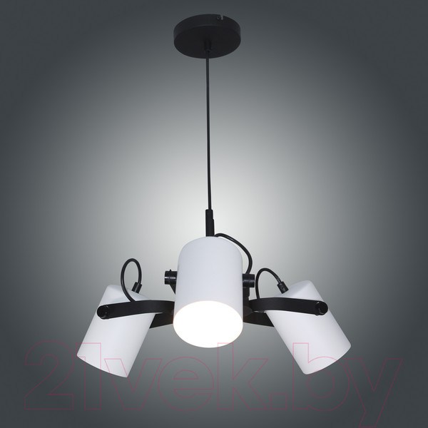 Изображение товара Люстра Элетех Гамма 231 НСБ 01-3x60-178 Е27 / 1005405348 (черный/белый муар)