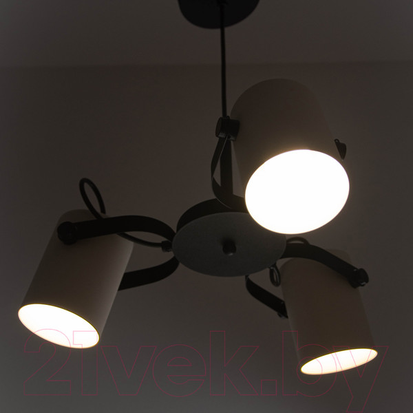 Изображение товара Люстра Элетех Гамма 231 НСБ 01-3x60-178 Е27 / 1005405348 (черный/белый муар)