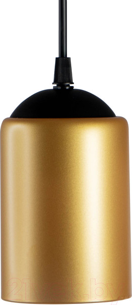 Изображение товара Потолочный светильник Элетех Эко Лофт НСБ 01-60-194 Е27 / 1005405355 (211 черный муар)