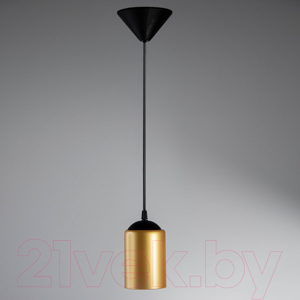 Изображение товара Потолочный светильник Элетех Эко Лофт НСБ 01-60-194 Е27 / 1005405355 (211 черный муар)