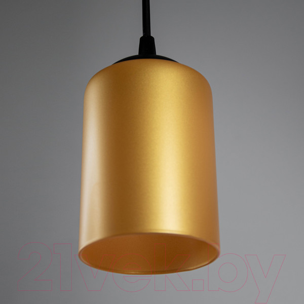 Изображение товара Потолочный светильник Элетех Эко Лофт НСБ 01-60-194 Е27 / 1005405355 (211 черный муар)