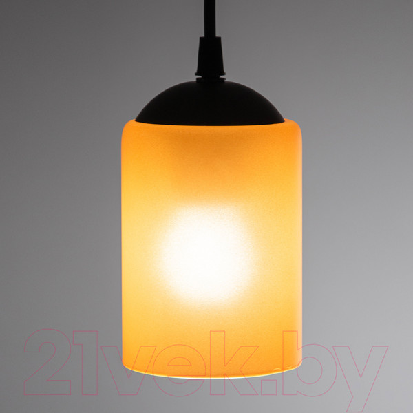 Изображение товара Потолочный светильник Элетех Эко Лофт НСБ 01-60-194 Е27 / 1005405355 (211 черный муар)