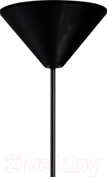 Изображение товара Потолочный светильник Элетех Эко Лофт НСБ 01-60-194 Е27 / 1005405355 (211 черный муар)