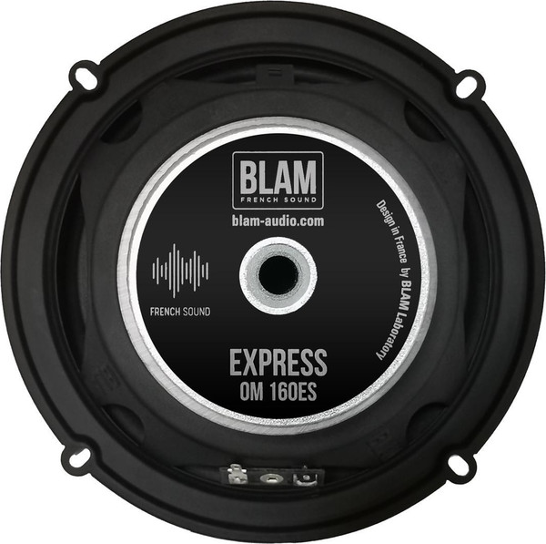 Изображение товара Компонентная АС BLAM OM160ES13