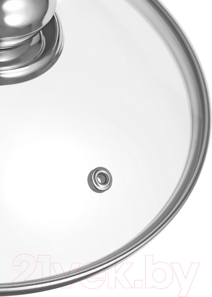 Изображение товара Кастрюля Наше не заржавеет Н-16126ГСП33