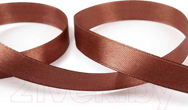 Изображение товара Лента декоративная Blitz Sew №100 (12мм, темно-коричневый)
