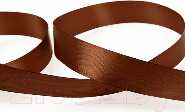 Изображение товара Лента декоративная Blitz Sew №100 (20мм, темно-коричневый)