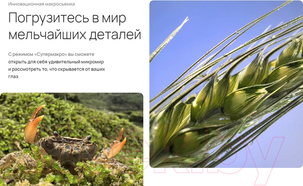Изображение товара Смартфон Huawei Pura 70 12GB/256GB (черный)