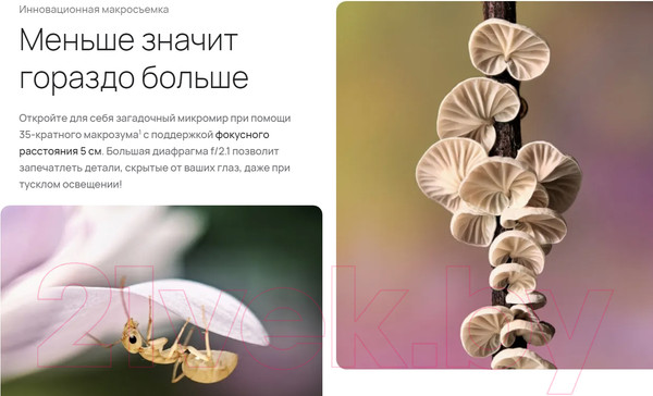Изображение товара Смартфон Huawei Pura 70 Pro 12GB/512GB HBN-LX9 / 51097VXQ (белый)