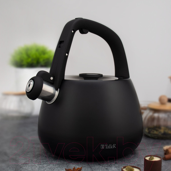 Изображение товара Чайник со свистком TalleR TR-11373
