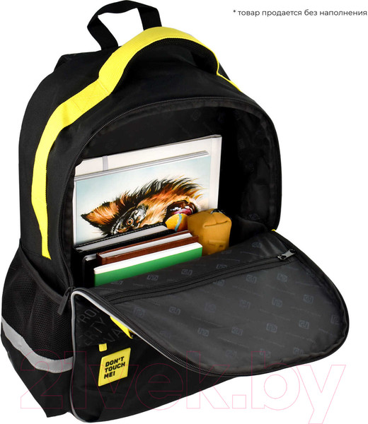 Изображение товара Школьный рюкзак Феникс+ Частная собственность / 64512