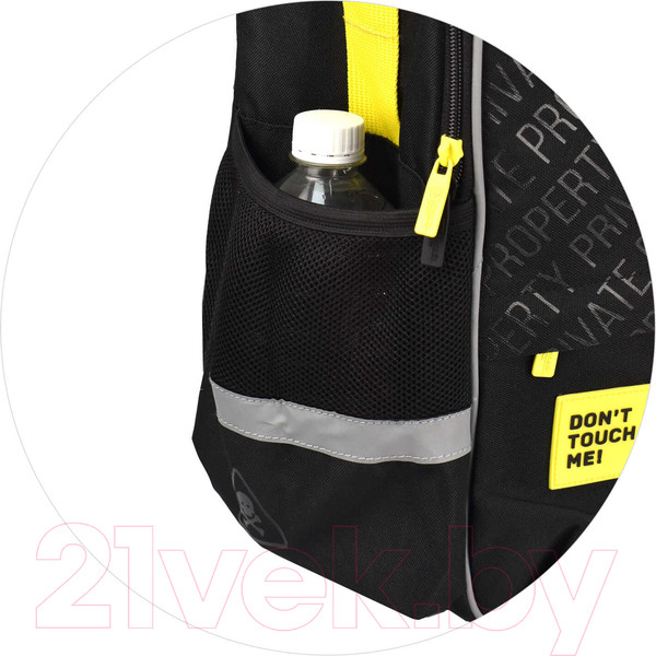 Изображение товара Школьный рюкзак Феникс+ Частная собственность / 64512