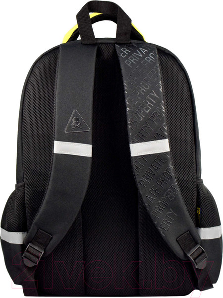 Изображение товара Школьный рюкзак Феникс+ Частная собственность / 64512