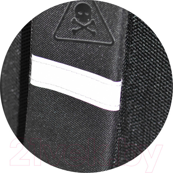 Изображение товара Школьный рюкзак Феникс+ Частная собственность / 64512