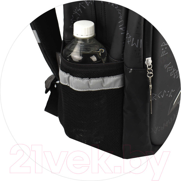 Изображение товара Школьный рюкзак Феникс+ Рысь / 64143