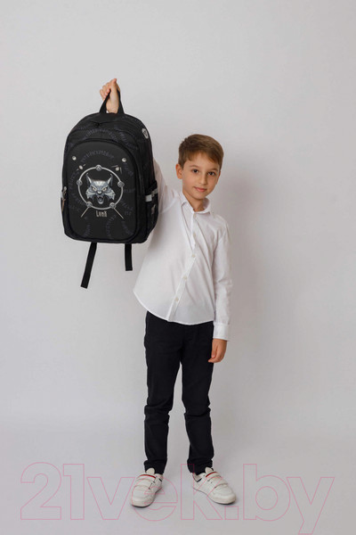 Изображение товара Школьный рюкзак Феникс+ Рысь / 64143