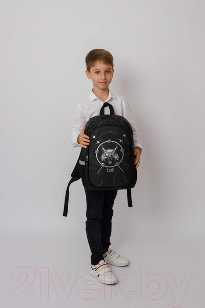 Изображение товара Школьный рюкзак Феникс+ Рысь / 64143