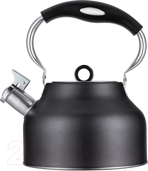 Изображение товара Чайник со свистком Regent Inox 93-TEA-49