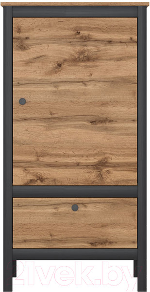 Изображение товара Тумба Black Red White Loft REG1D1S/60 (дуб вотан/черный)
