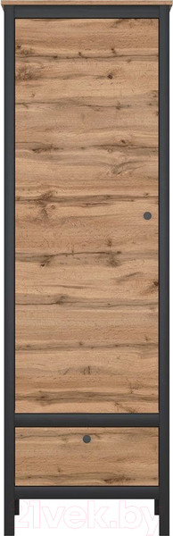 Изображение товара Шкаф Black Red White Loft REG1D1S (дуб вотан/черный)