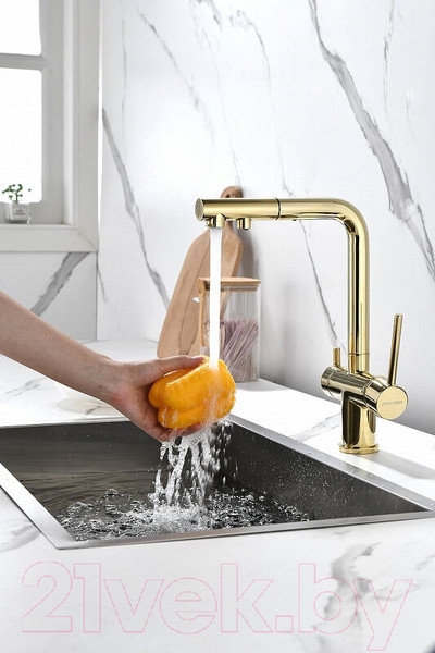 Изображение товара Смеситель Paulmark Serpentine Se213222-G