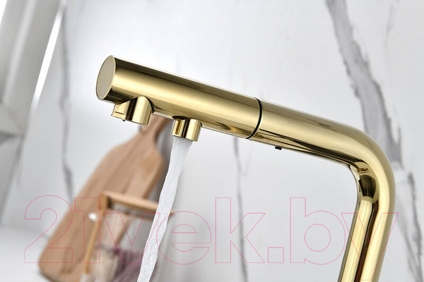 Изображение товара Смеситель Paulmark Serpentine Se213222-G