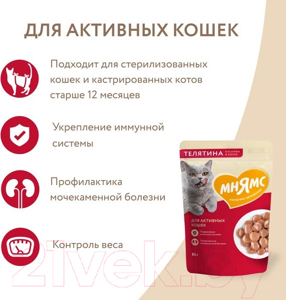 Изображение товара Влажный корм для кошек Мнямс Кусочки в соусе с телятиной для активных кошек / 540157 (85г)